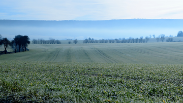 Suchergebnis Vorschaubild