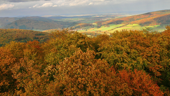 Suchergebnis Vorschaubild