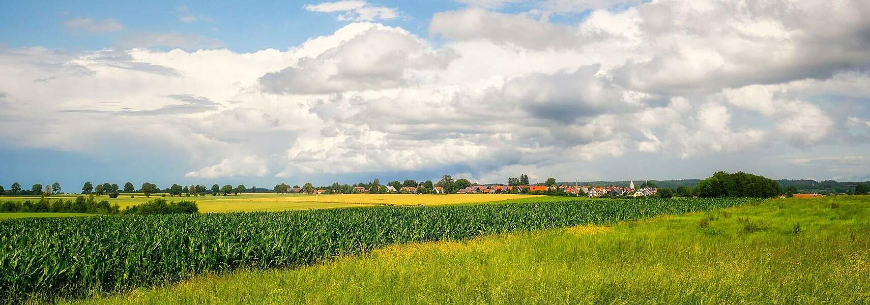 Ländliche Entwicklung als Stabilitätsanker der EU-Agrarförderung stärken und weiterentwickeln