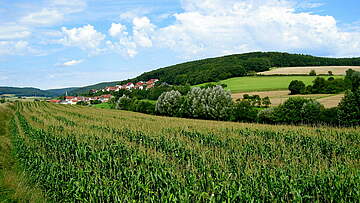 Suchergebnis Vorschaubild