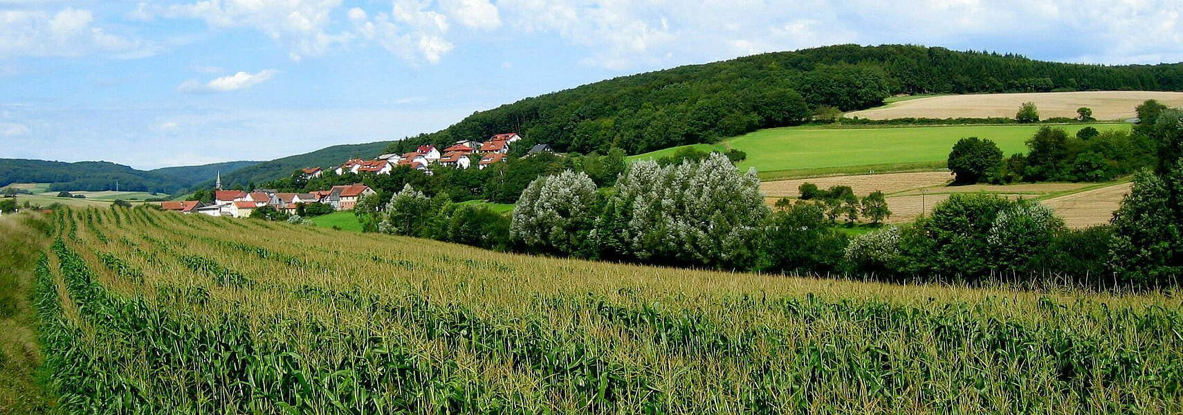 Umweltminister müssen Blockade gegen Wolfsregulierung beenden