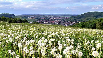 Suchergebnis Vorschaubild