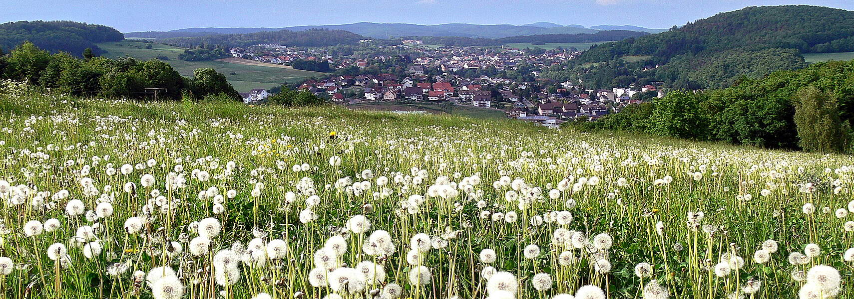 Bauernverband legt Positionspapier zum Mehrjährigen Finanzrahmen der EU vor