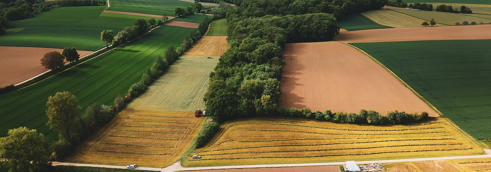 Deutscher Bauernverband zum Agrarpaket