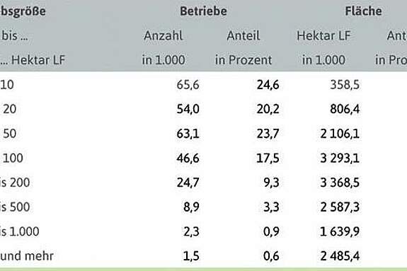 deutscher bauernverband e v situationsbericht betriebe und betriebsgrossen