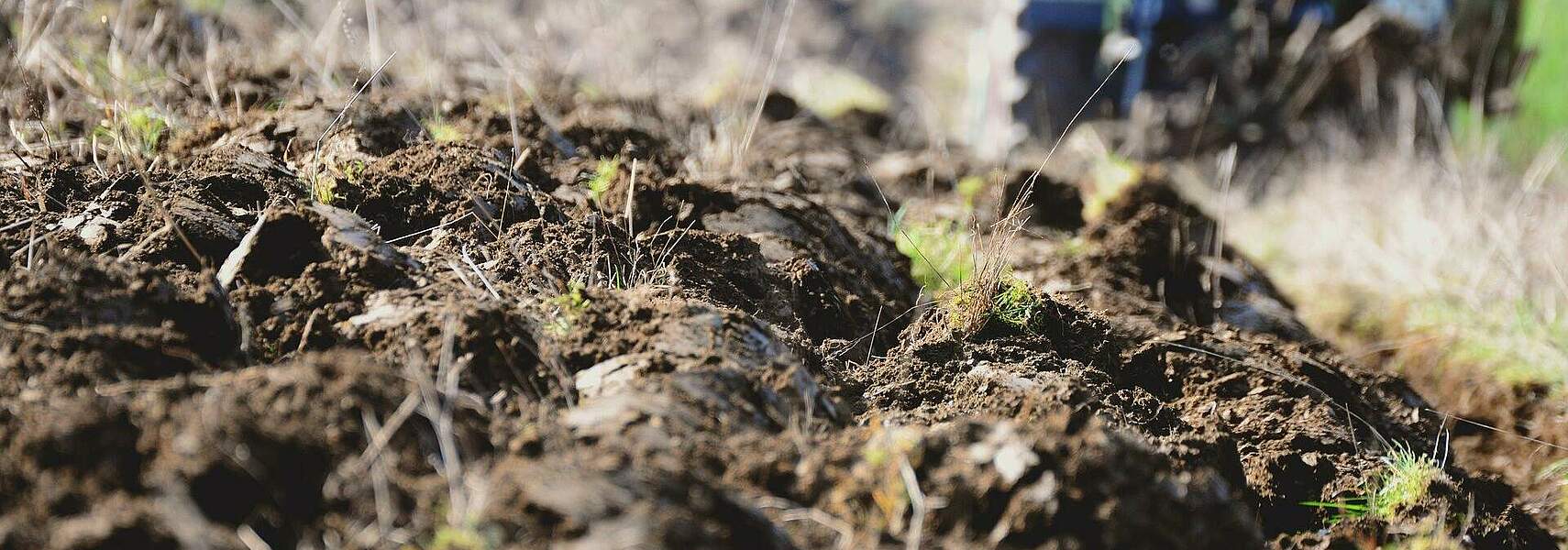 Rukwied: Bürokratisierung und Überregulierung der Landwirtschaft müssen gestoppt werden