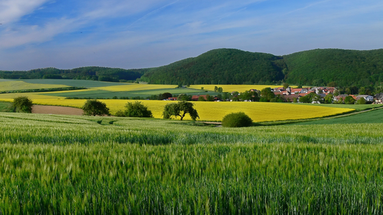 Suchergebnis Vorschaubild