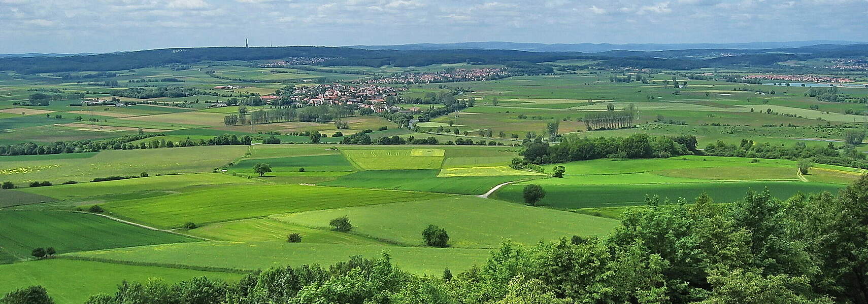 Anliegen des Bauernverbandes zur Agrarministerkonferenz