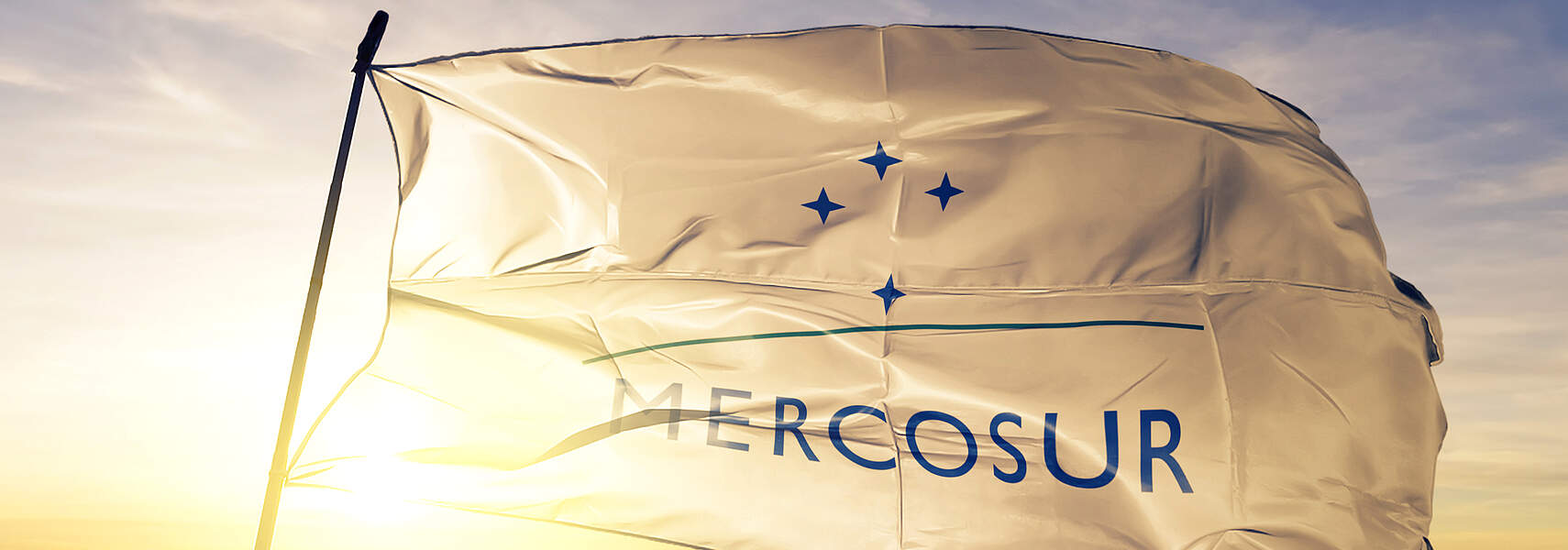 Mercosur-Abkommen stoppen!