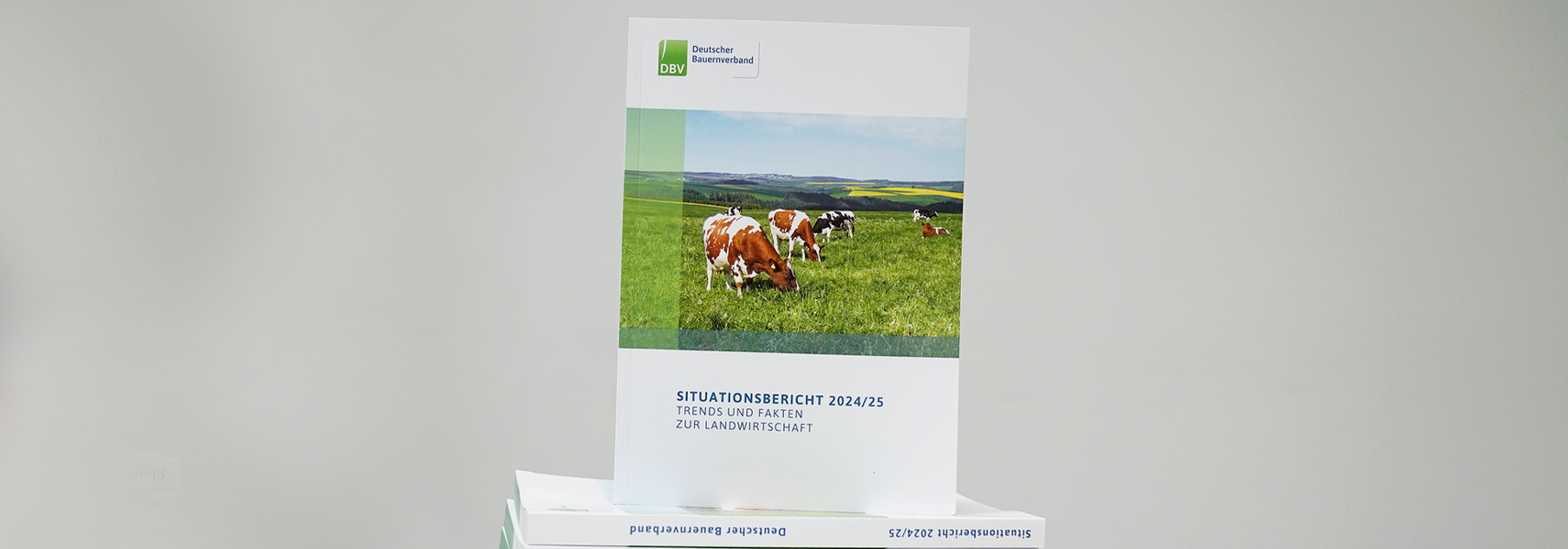 DBV-Situationsbericht: Landwirtschaft mit deutlichen Gewinneinbrüchen